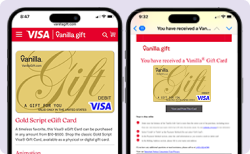 Vanilla Visa eGift Phone Image